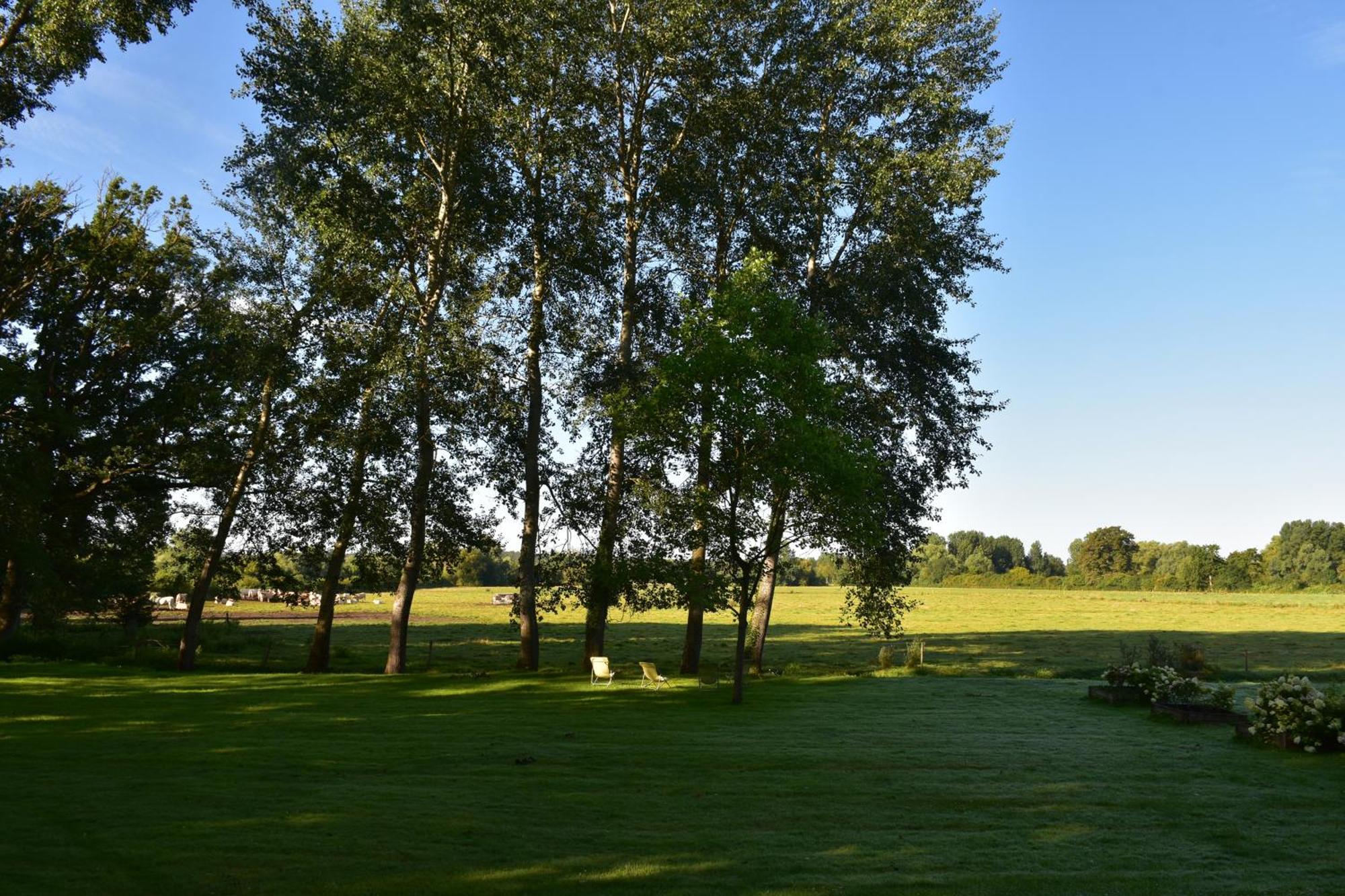 Bed and Breakfast Domaine de l'Ermitage Berry-Bouy Exterior foto