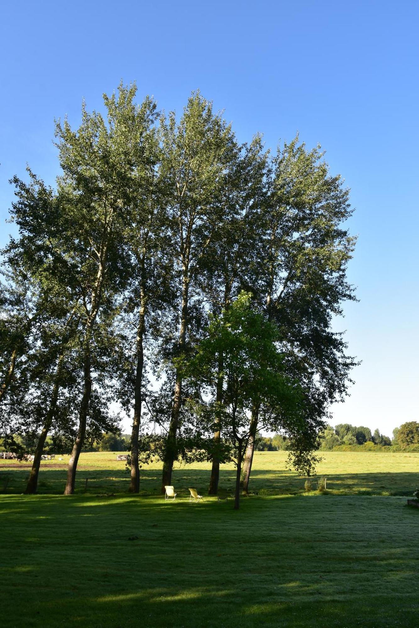 Bed and Breakfast Domaine de l'Ermitage Berry-Bouy Exterior foto